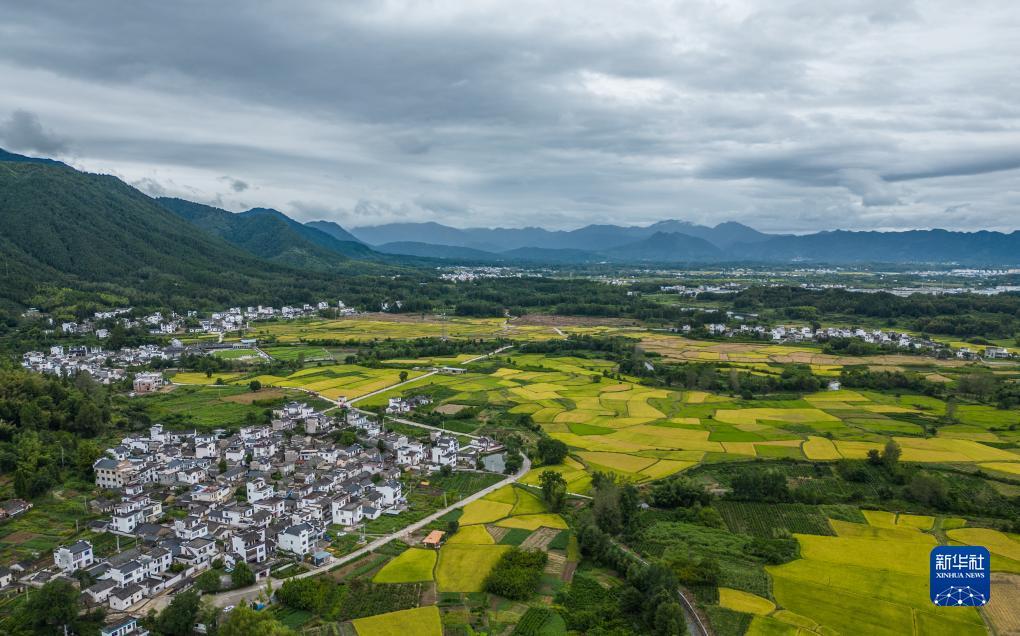 永利注册网址